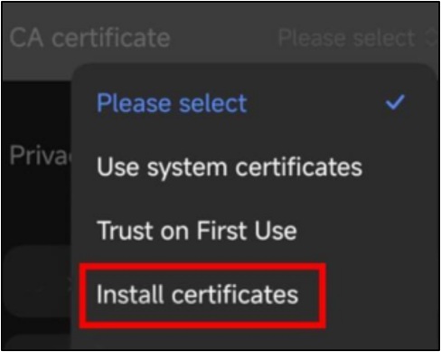 Langkah 3 Pilih Option CA Certificate