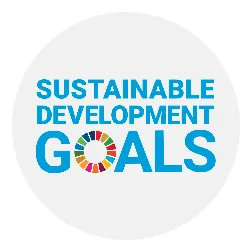 SDG BINUS